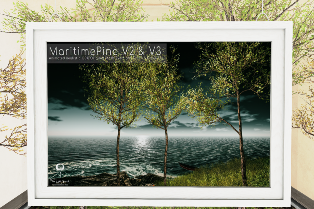 Maritime Pine v2 &amp; v3, L$386