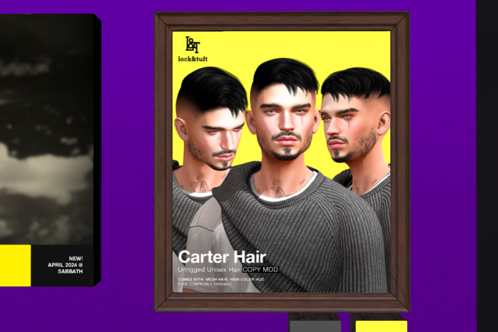 Carter Hair	&lt;a href=&quot;http://maps.secondlife.com/secondlife/Oblivion/18/33/1338&quot; target=&quot;_blank&quot;&gt;Teleport&lt;/a&gt;