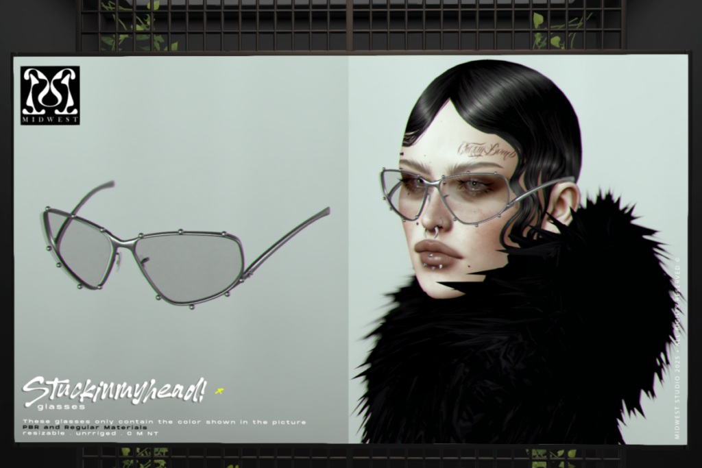 Stuckinmyhead! Glasses, L$299