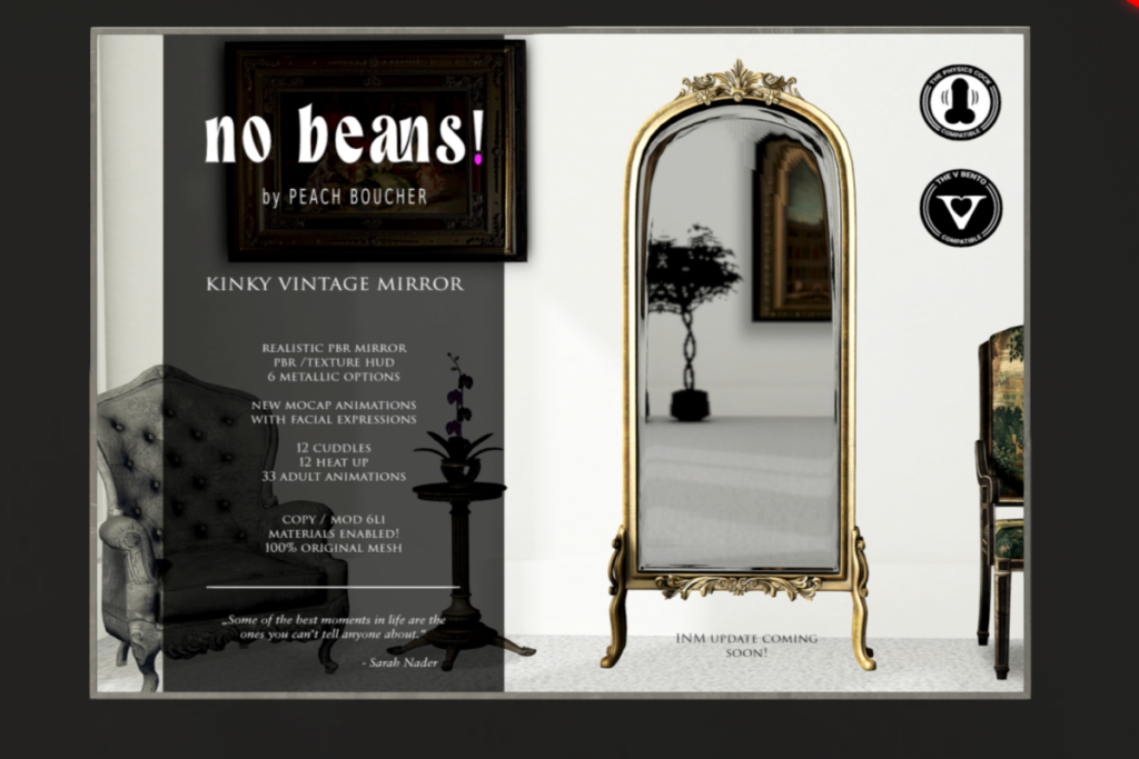Kinky Vintage Mirror, L$1449