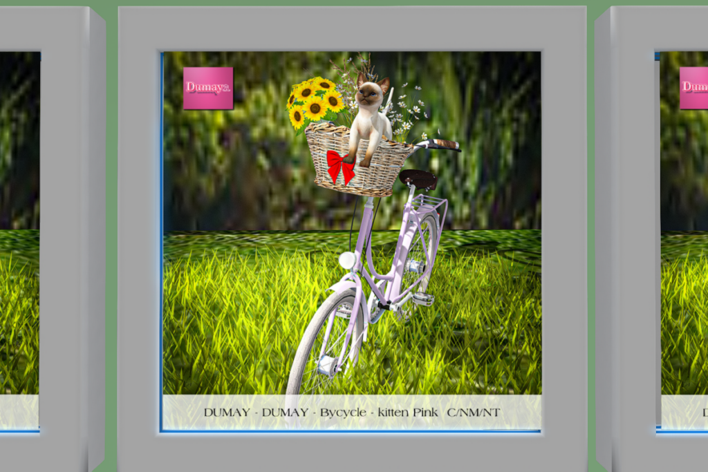 Bycycle with Kitten, L$169 each