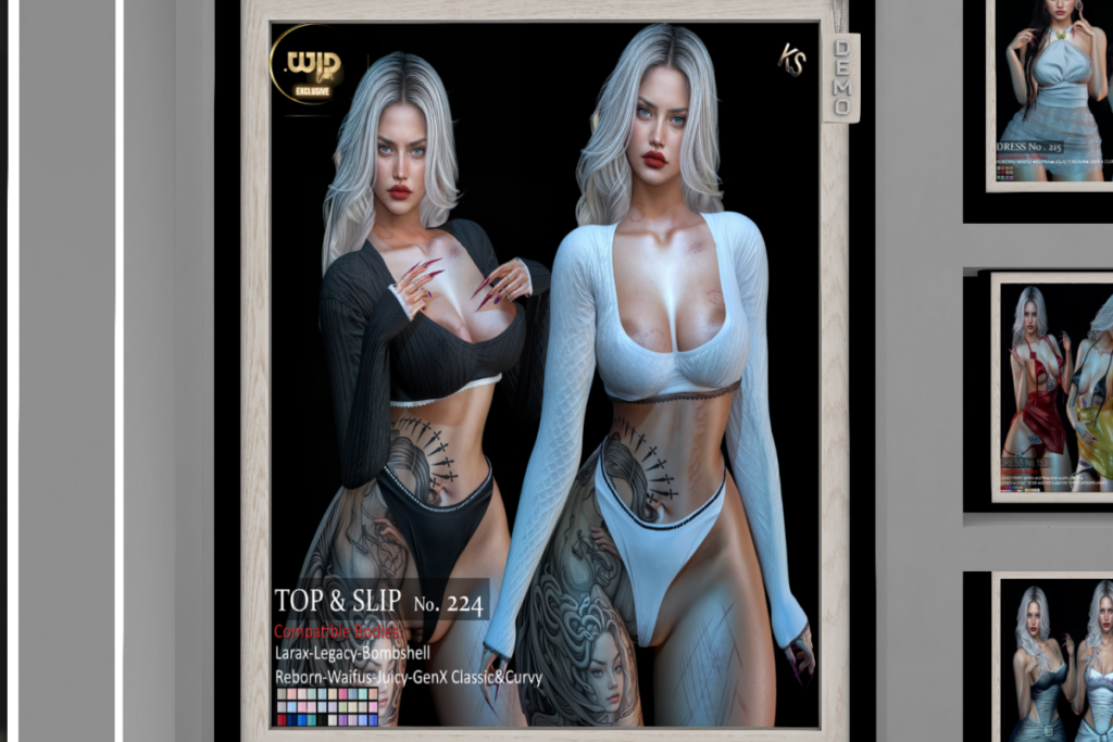 Top &amp; Slip No. 224 - GenX/Legacy/MaitreyaX/Reborn/+mods, L$299