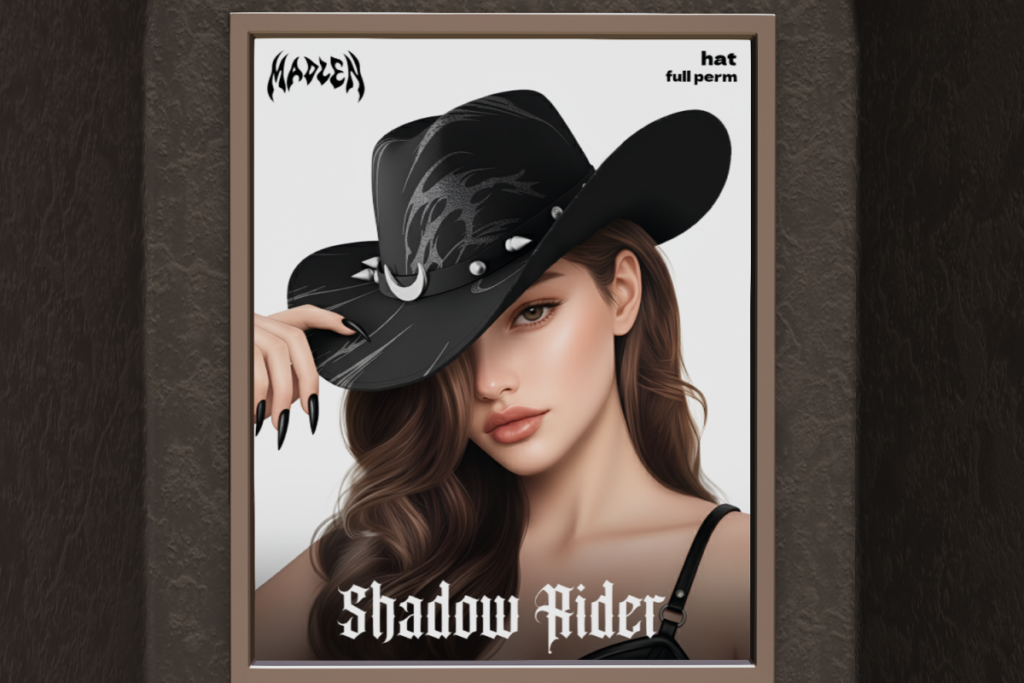 Shadow Rider Hat, L$499