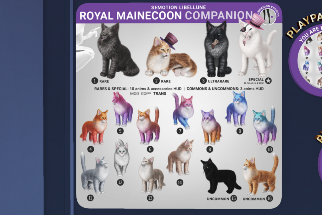 Royal MaineCoon Companion, L$85 per play/L$188 each special