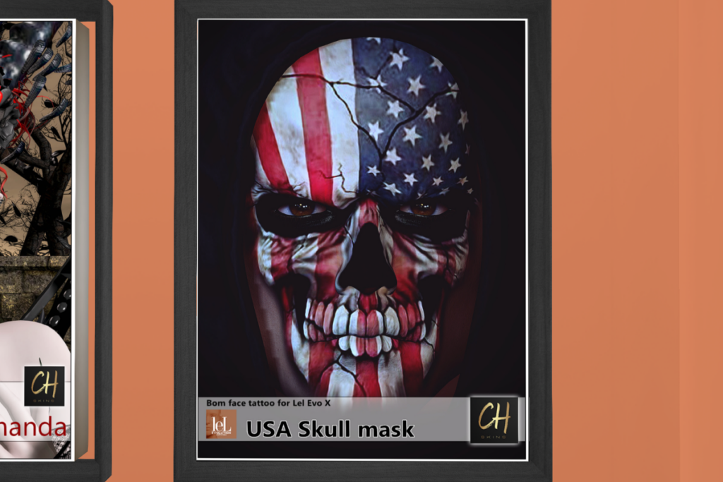 USA Skull Mask - EvoX, L$119