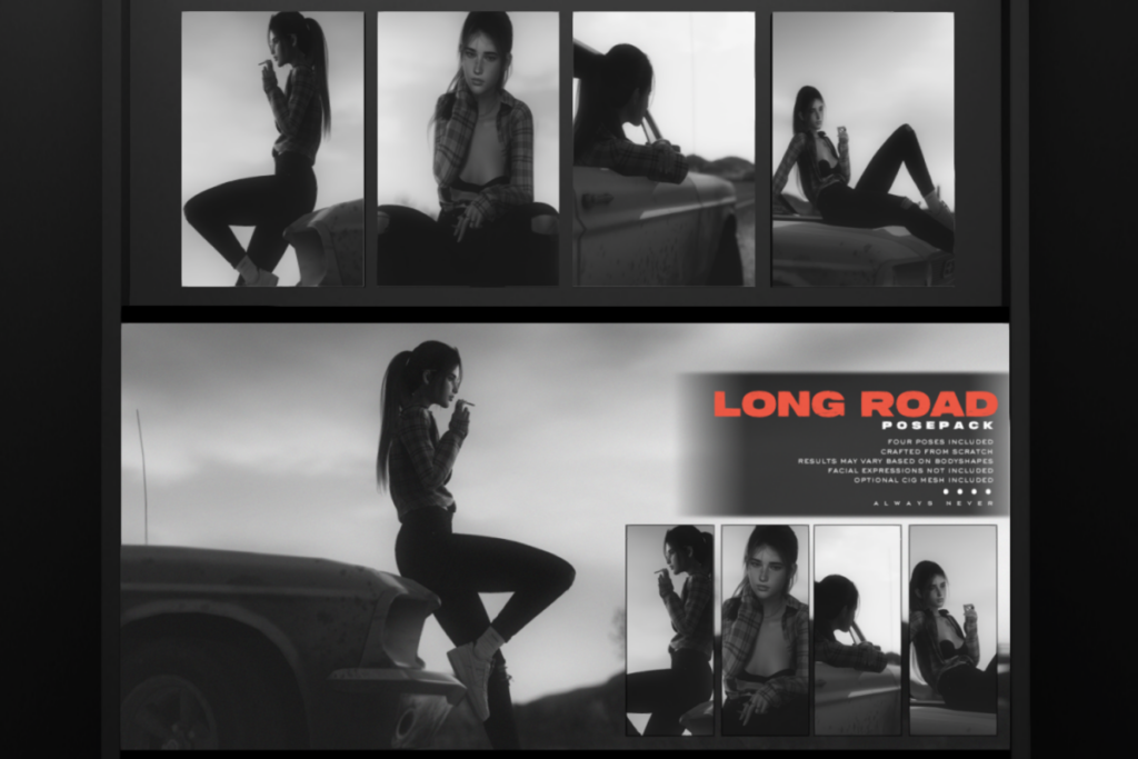 Long Road Poses &amp; Props, L$249