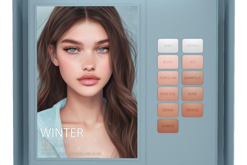 Winter Skin - Evo X, L$849 each