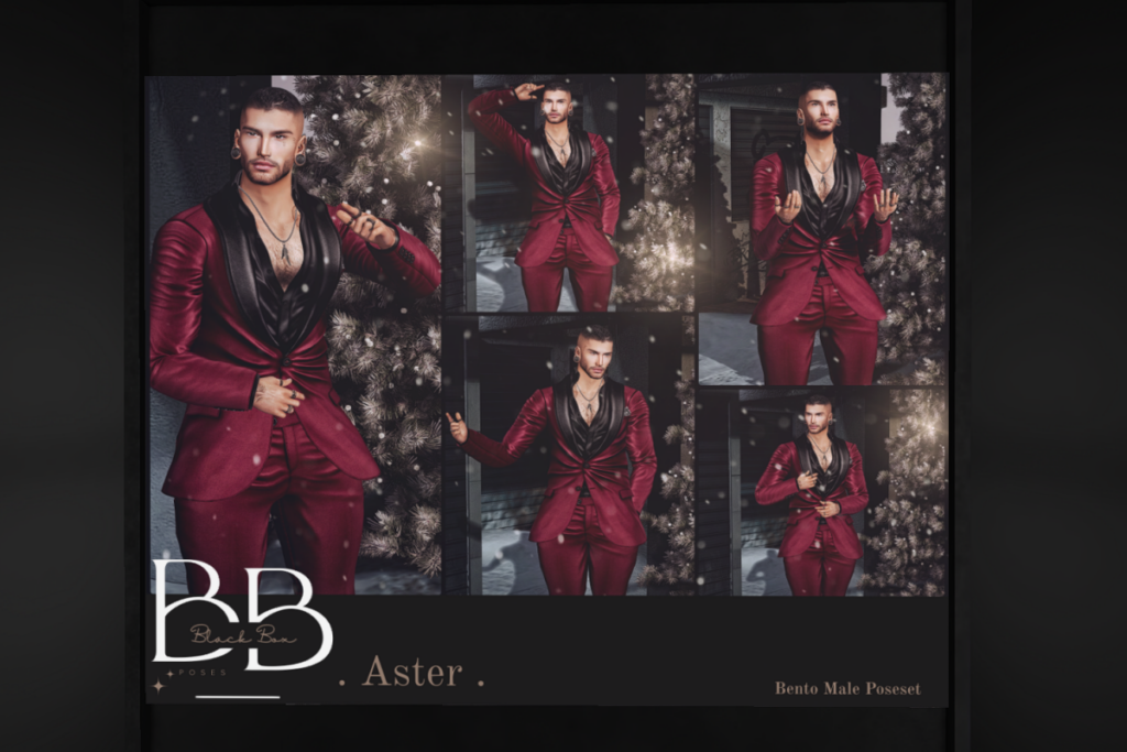 Aster Pose Pack, L$299