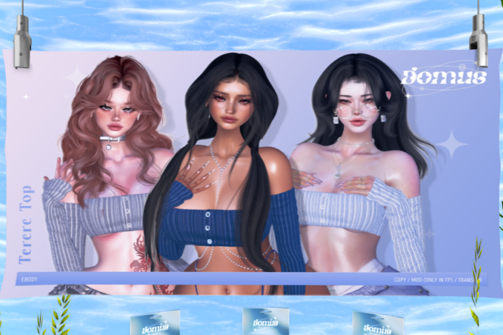 Terere Top - Reborn, L$250 each/L$1250 FP