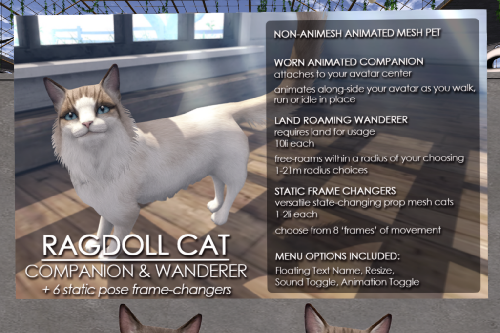 Ragdoll Cat	&lt;a href=&quot;http://maps.secondlife.com/secondlife/Jian/240/239/24&quot; target=&quot;_blank&quot;&gt;Teleport&lt;/a&gt;