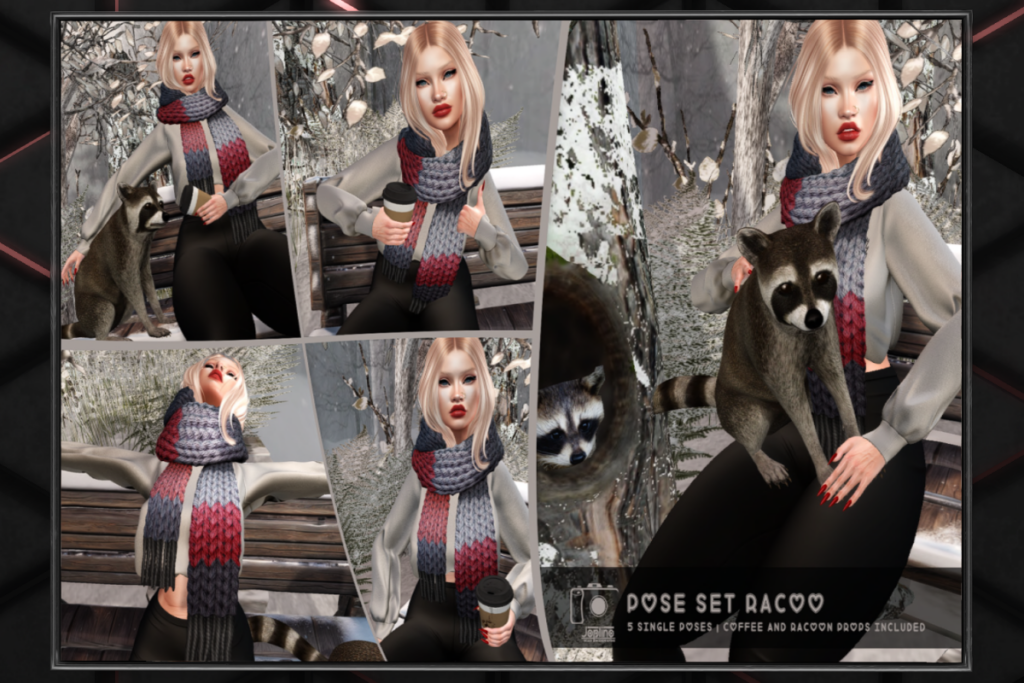 Racoo Pose Set, L$249