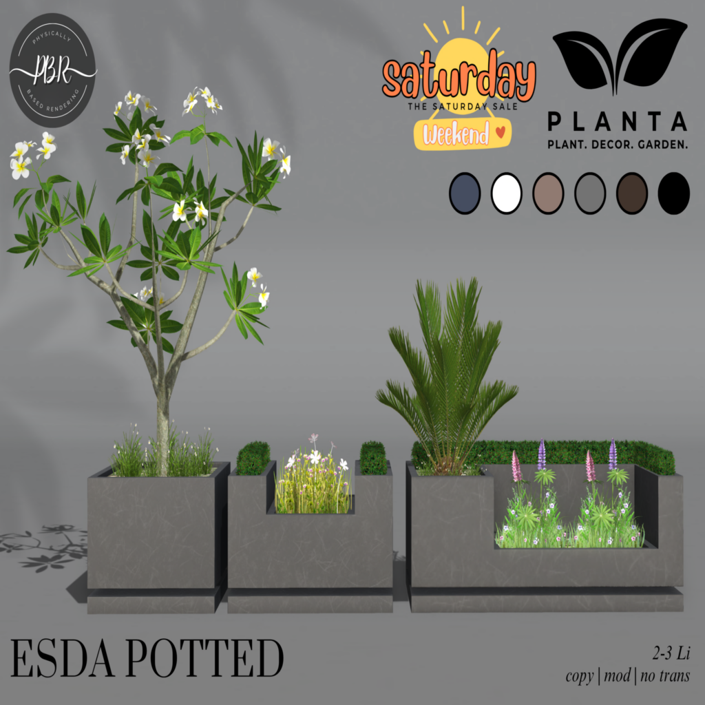 Esda Potted Decor Set	&lt;a href=&quot;http://maps.secondlife.com/secondlife/lovers%20islands/198/44/23&quot; target=&quot;_blank&quot;&gt;Teleport&lt;/a&gt;