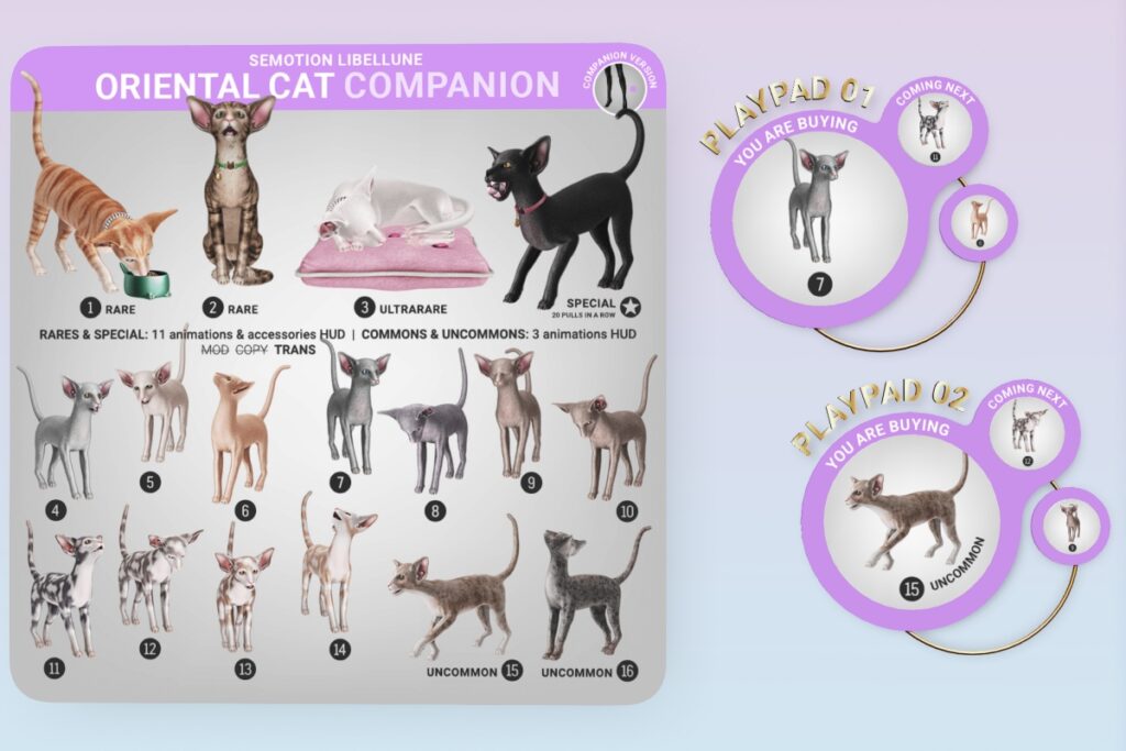 Oriental Cat Animesh Pet, L$88 per Play