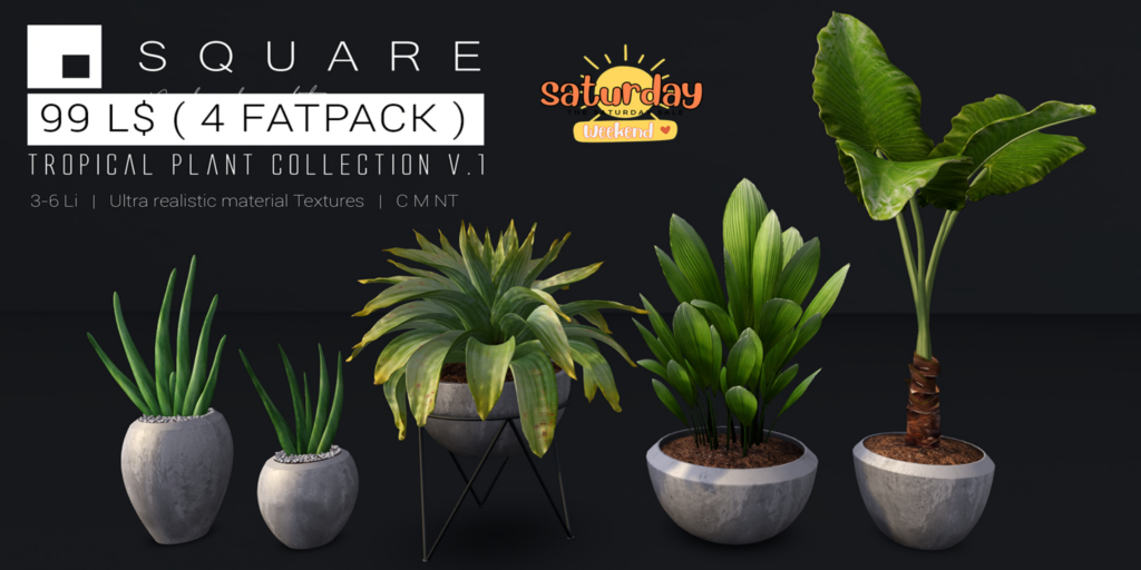 Tropical Plant Collection V1	&lt;a href=&quot;http://maps.secondlife.com/secondlife/Pandoro/179/89/3497&quot; target=&quot;_blank&quot;&gt;Teleport&lt;/a&gt;