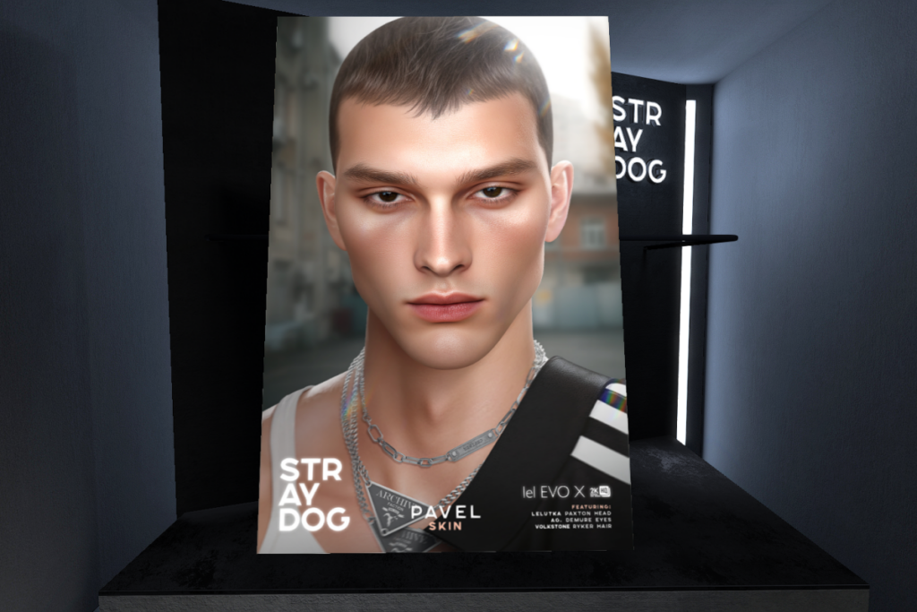 Pavel Skin - EvoX, L$590 each/L$1180 FP