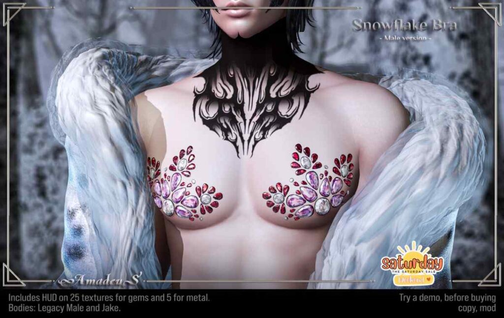 Snowflake Bra - Jake/Legacy	&lt;a href=&quot;http://maps.secondlife.com/secondlife/Veles%202/127/91/21&quot; target=&quot;_blank&quot;&gt;Teleport&lt;/a&gt;