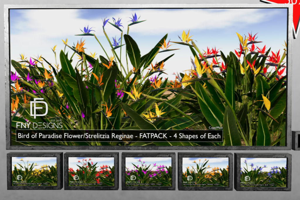 Bird of Paradise Flower/Strelitzia Regina, L$150 each/L$600 FP