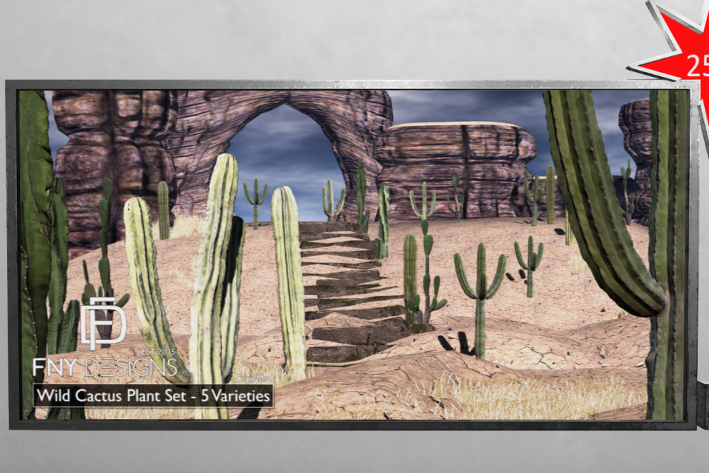 Wild Cactus Plant Set, L$675