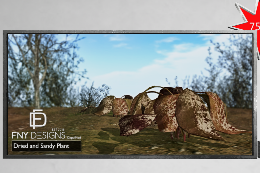 Dried and Sandy Plant, L$88