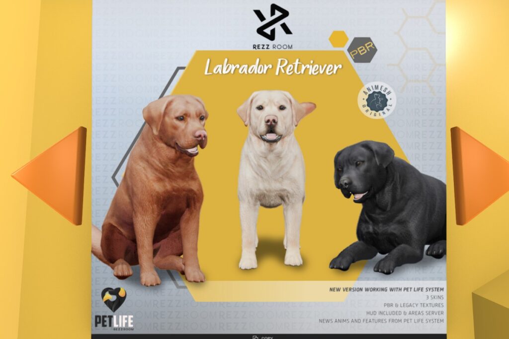 Labrador Retriever, L$2499