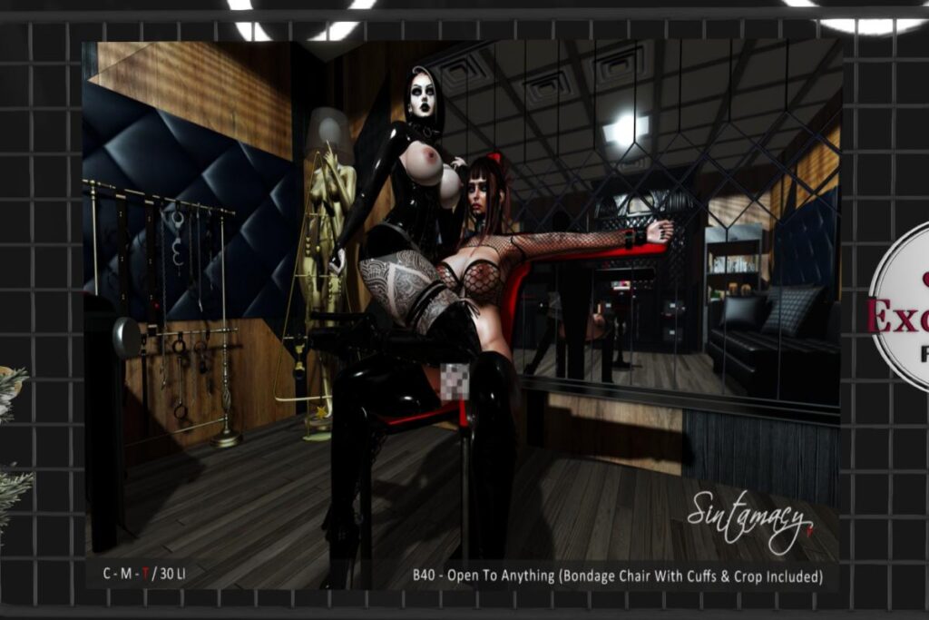 Open To Anything Couples Pose &amp; Prop, L$299