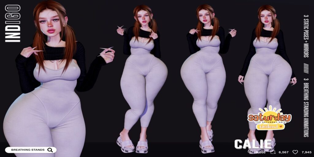 Calie Poses	<a href="http://maps.secondlife.com/secondlife/Palmetta/140/32/1698" target="_blank">Teleport</a>