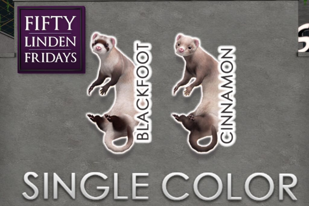 Ferret Companion	<a href="http://maps.secondlife.com/secondlife/Jian/240/239/24" target="_blank">Teleport</a>