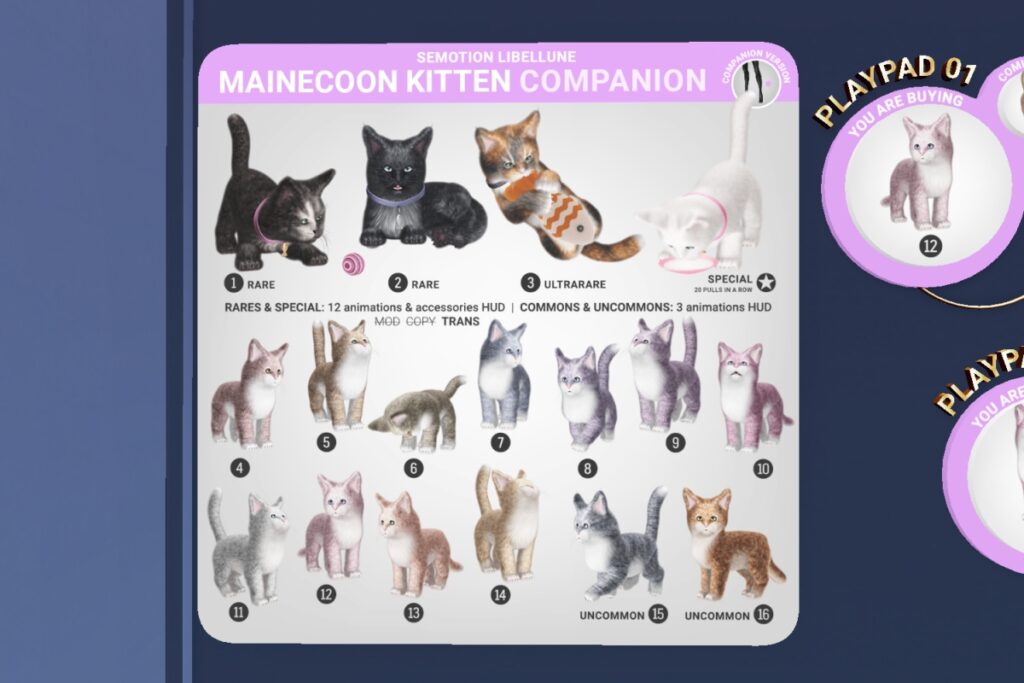 Mainecoon Companion, L$88 per play/L$188 Exclusive