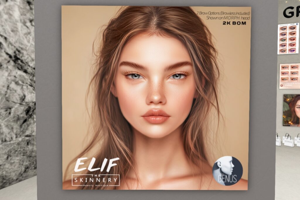 Elif Skin - EvoX	<a href="http://maps.secondlife.com/secondlife/SKINNERY/84/132/775" target="_blank">Teleport</a>