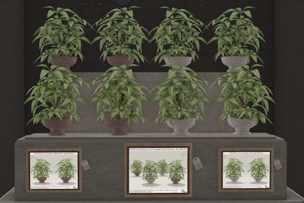 Potted Money Tree Houseplant, L$225 each/L$360 FP