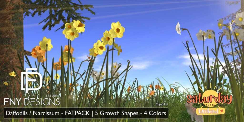 <a href="http://maps.secondlife.com/secondlife/Fallen%20New%20York/119/135/2154" target="_blank">Teleport</a>