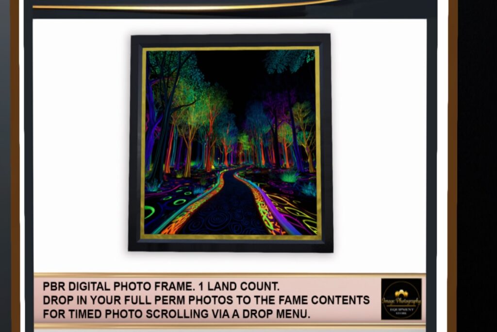 Photo Canvas Frame, L$200