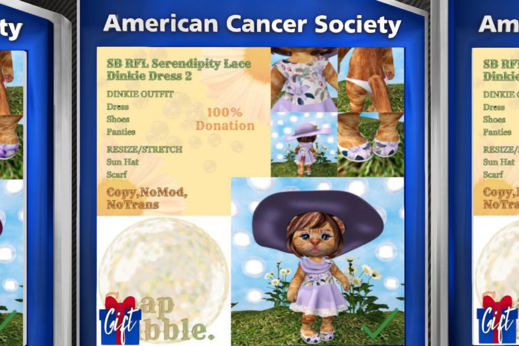 Serendipity Lace Dress, L$150