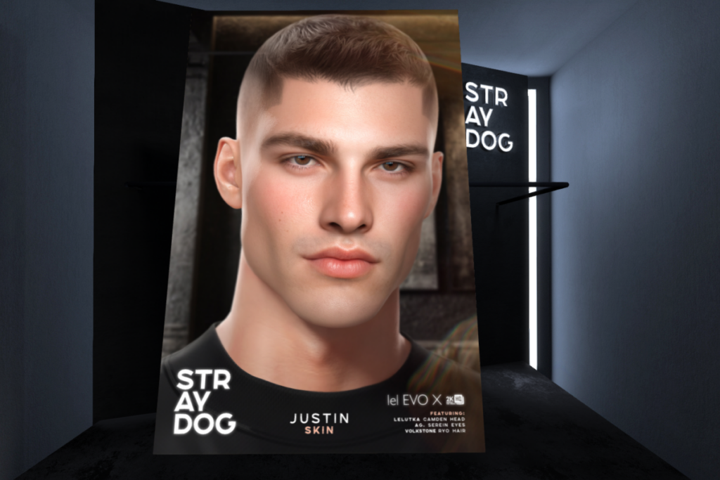 Justin Skin - EvoX, L$590 each/L$1180 FP