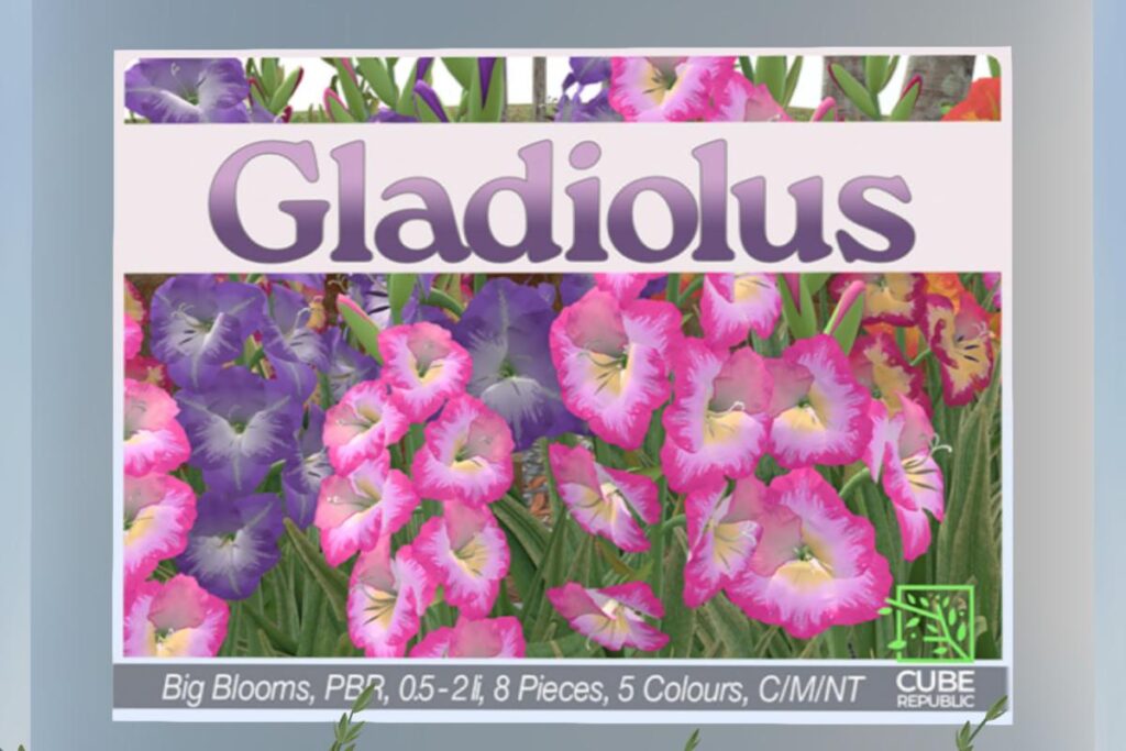 Gladiolus Blooms, L$388