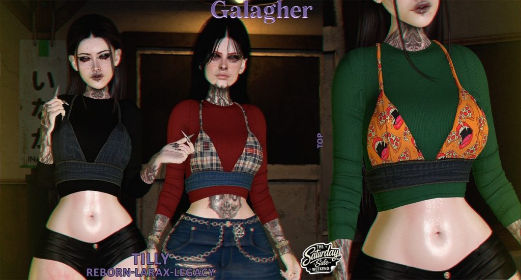 <a href="http://maps.secondlife.com/secondlife/Hollow%20Creek/78/213/1034" target="_blank">Teleport</a>