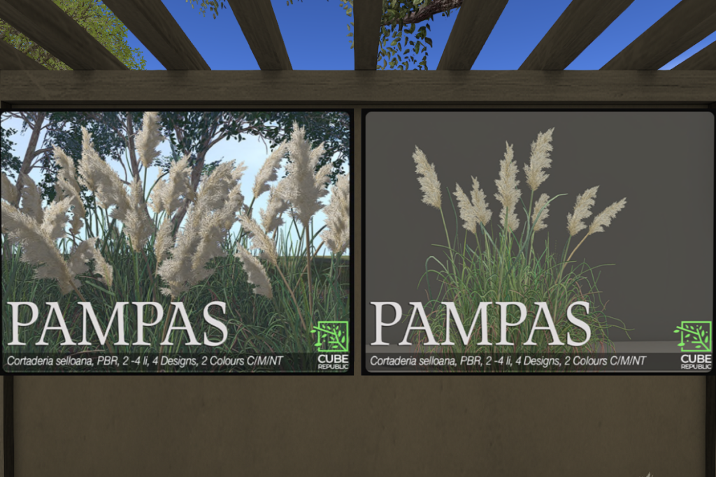Pampas Grass, L$499 each