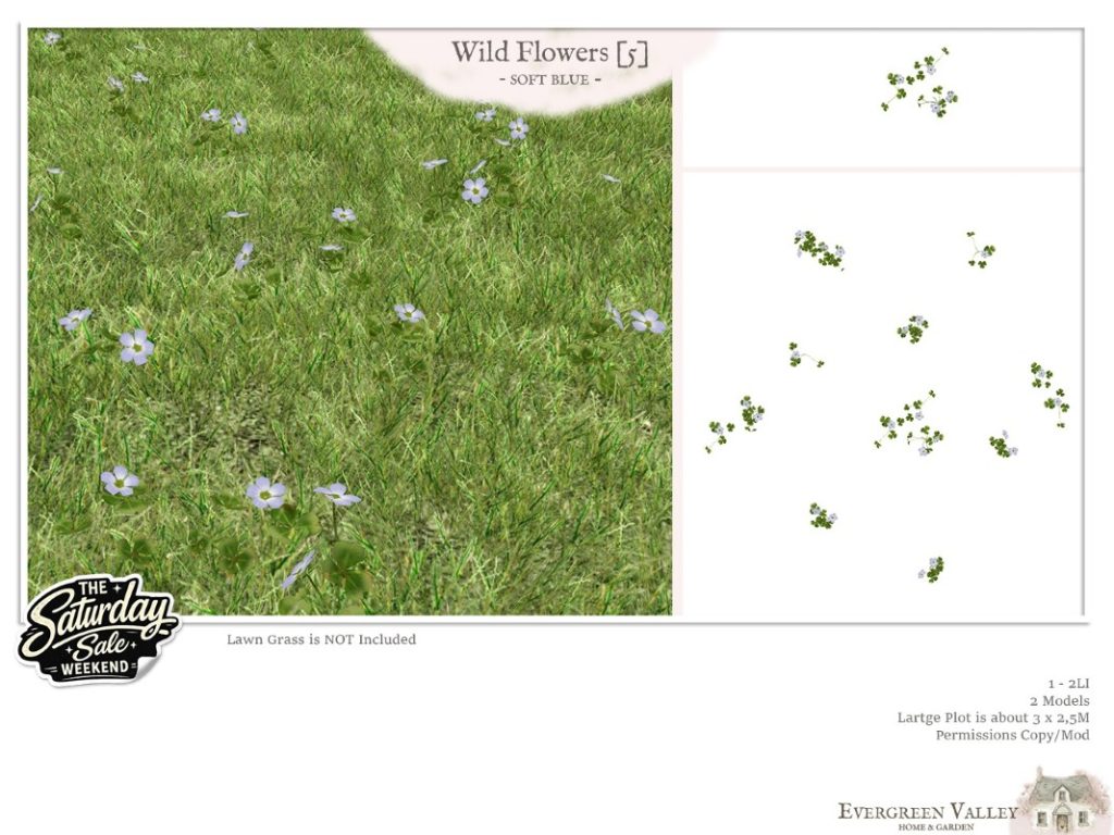 <a href="http://maps.secondlife.com/secondlife/Evergreen%20Valley%20Mainstore/49/202/1202" target="_blank">Teleport</a>