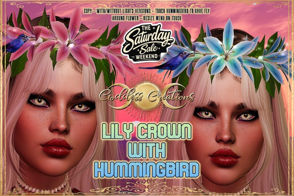 <a href="https://maps.secondlife.com/secondlife/Silver%20Moon/79/102/3332" target="_blank">Teleport</a>