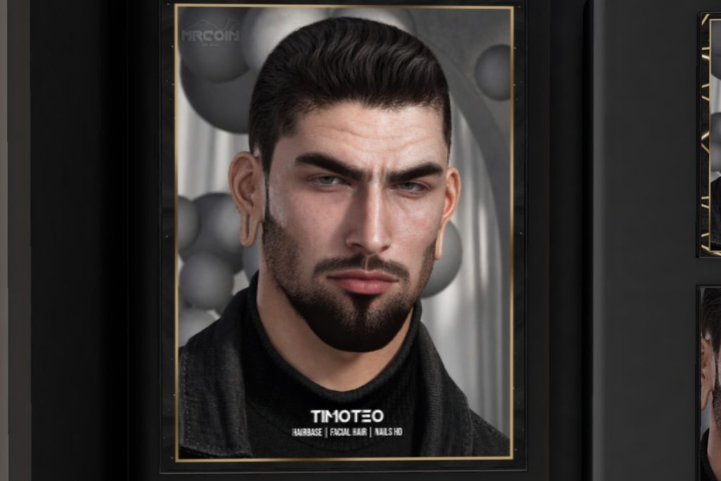 Timoteo Hairbase - EvoX, L$700