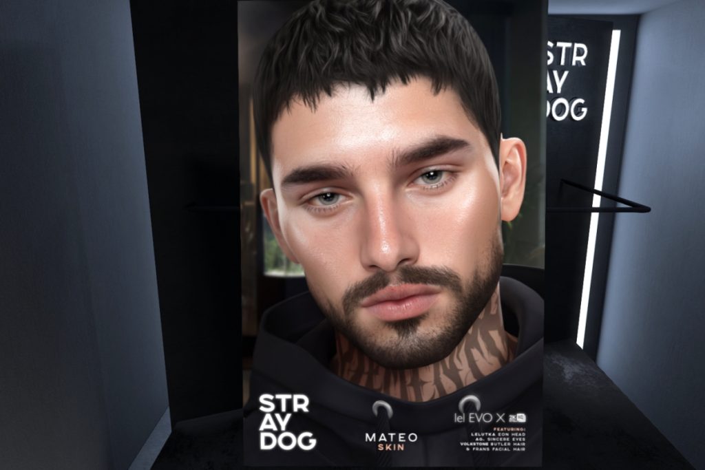 Mateo Skin - EvoX/Eon Head, L$590 each/L$1180 FP