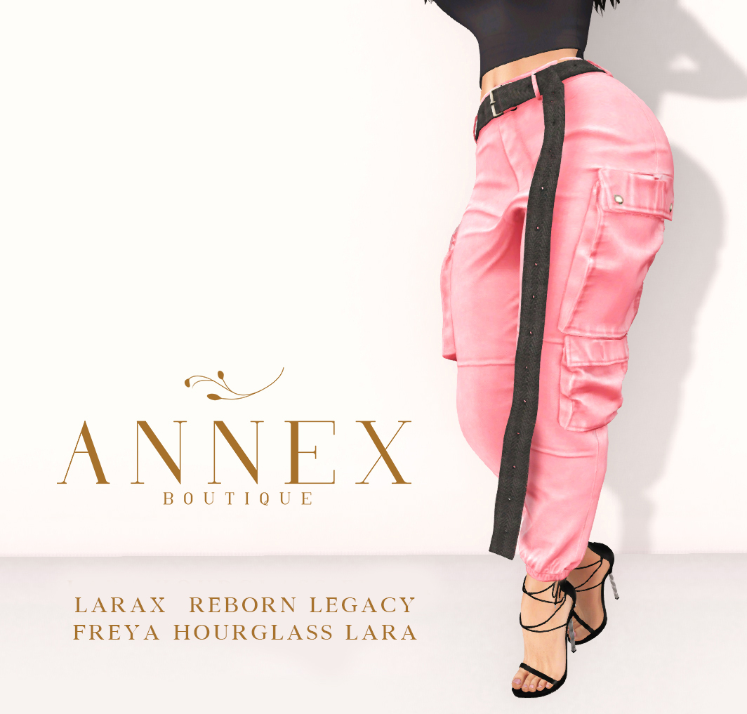 STACKED, STRAPPED, READY: THE ANNEX’S DANNY CARGO PANTS
