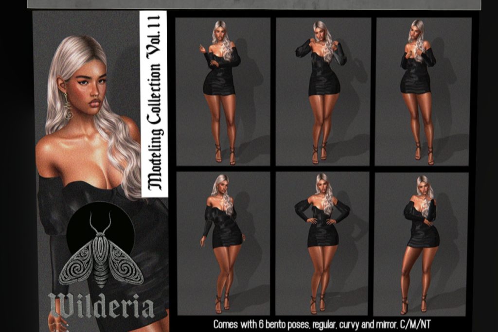 Modeling Collection, L$300