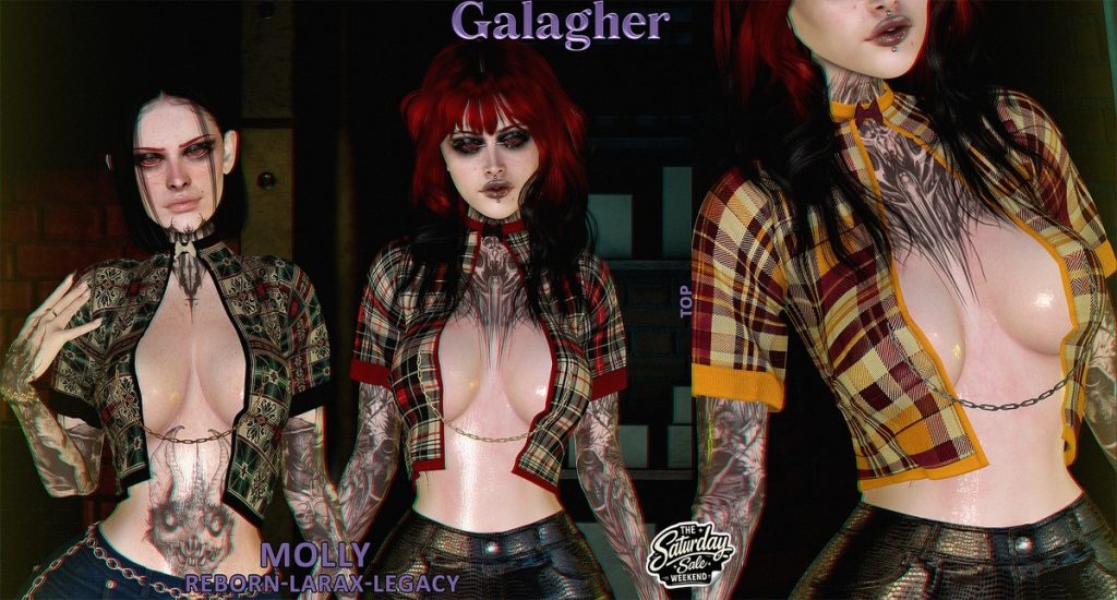 <a href="http://maps.secondlife.com/secondlife/Hollow%20Creek/50/213/1034" target="_blank">Teleport</a>
