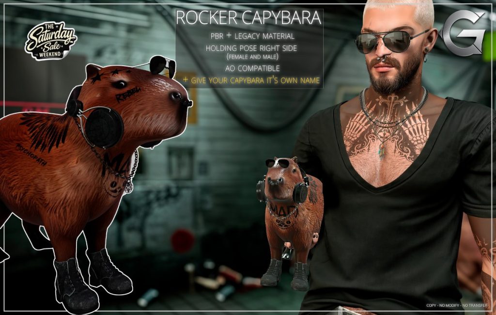 <a href="http://maps.secondlife.com/secondlife/Spruce%20Peak/165/209/33" target="_blank">Teleport</a>