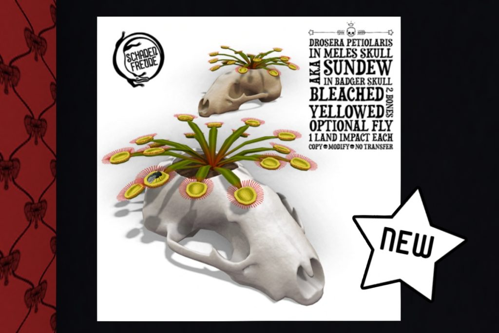 Sundew in Badger Skull, L$225