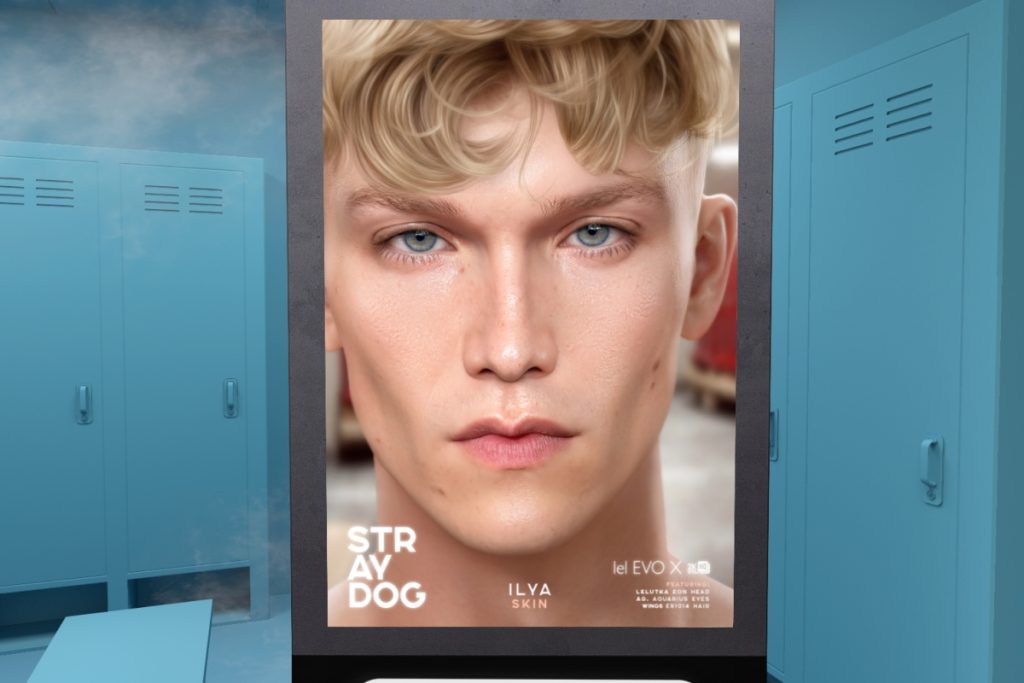 Ilya Skin - EvoX/Eon Head, L$590 each/L$1180 FP