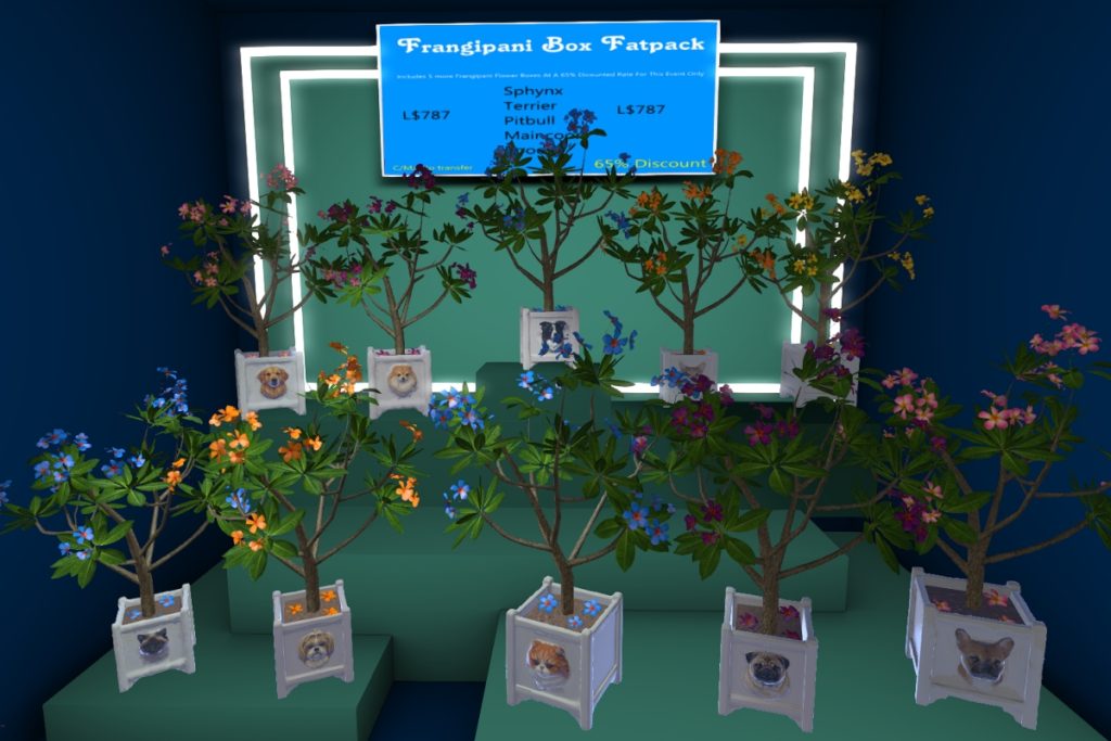Dog &amp; Cat Frangipani Box, L$150 each/L$787 FP