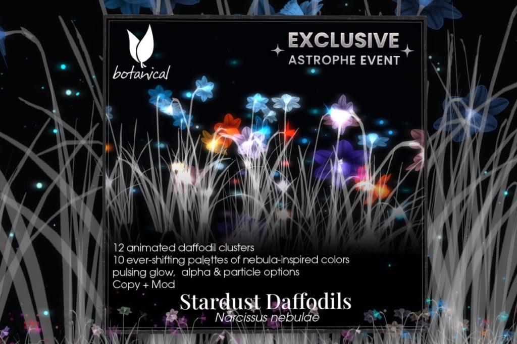 Stardust Daffodils, L$699