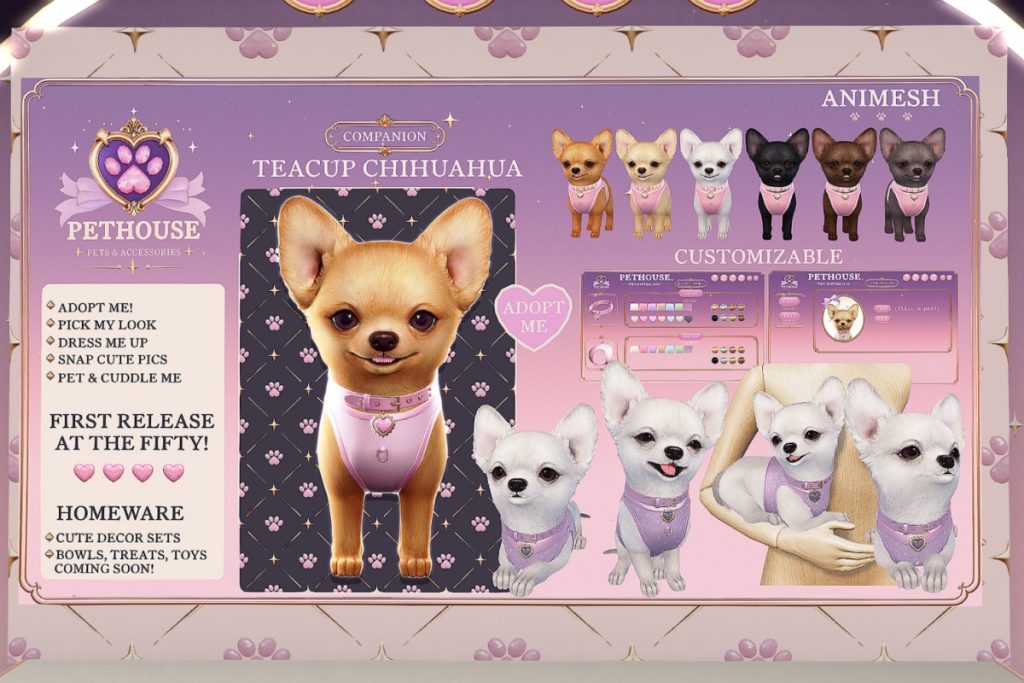 Teacup Chihuahua Companion, L$900 each/L$2500 FP